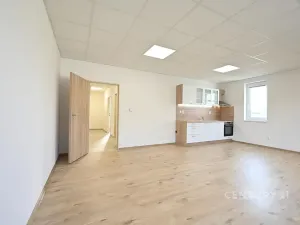 Pronájem bytu 2+kk, Plzeň, Tisová, 70 m2