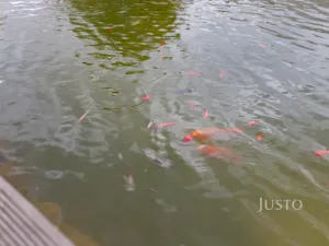 Prodej rodinného domu, Teplice - Trnovany, Na Bramši, 227 m2