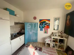 Pronájem bytu 1+1, Ostrava, V Zahradách, 30 m2