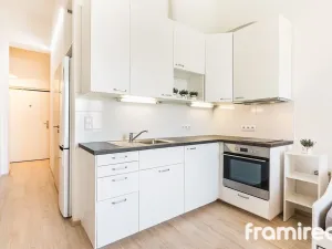 Pronájem bytu 1+kk, Brno, Kamínky, 33 m2