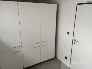 Pronájem bytu 1+kk, Plzeň, Pilařská, 43 m2