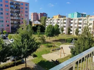 Pronájem bytu 1+kk, Olomouc, Schweitzerova, 25 m2