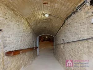 Prodej vinného sklepa, Velké Bílovice, U Školky, 125 m2