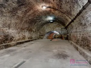 Prodej vinného sklepa, Velké Bílovice, U Školky, 125 m2