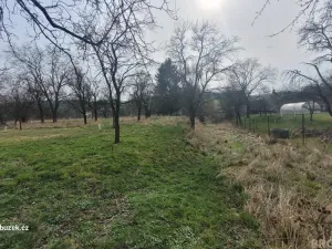 Prodej zahrady, Bystřice pod Hostýnem, 1250 m2