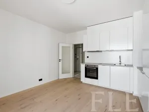Pronájem bytu 1+kk, Praha - Vršovice, Krymská, 24 m2