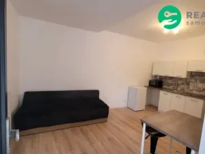 Prodej bytu 1+kk, Brno, Francouzská, 20 m2