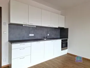 Pronájem bytu 2+kk, Dobřany, Loudů, 61 m2