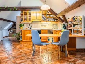 Prodej atypického bytu, Praha - Nové Město, Havlíčkova, 295 m2