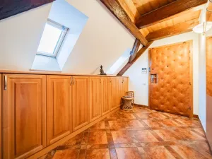 Prodej atypického bytu, Praha - Nové Město, Havlíčkova, 295 m2