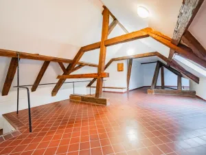 Prodej atypického bytu, Praha - Nové Město, Havlíčkova, 295 m2