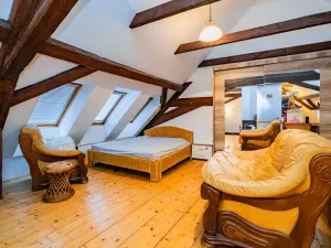 Prodej atypického bytu, Praha - Nové Město, Havlíčkova, 295 m2