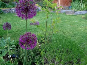 Prodej bytu 3+kk, Brno, 70 m2