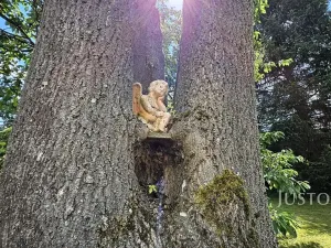 Prodej rodinného domu, Prachatice, Krumlovská, 363 m2