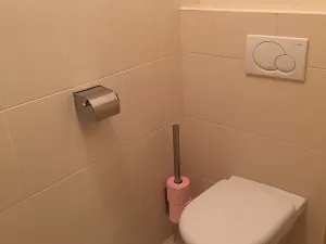 Pronájem bytu 2+kk, Brno, Spálená, 60 m2