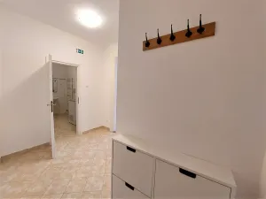 Pronájem bytu 2+kk, Praha - Vinohrady, Mánesova, 61 m2