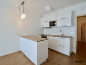 Pronájem bytu 1+kk, Olomouc - Nové Sady, Rokycanova, 40 m2