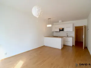 Pronájem bytu 1+kk, Olomouc - Nové Sady, Rokycanova, 40 m2