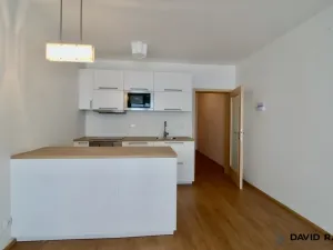 Pronájem bytu 1+kk, Olomouc - Nové Sady, Rokycanova, 40 m2