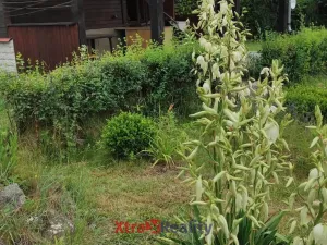 Prodej zahrady, Klášterec nad Ohří - Mikulovice, 303 m2