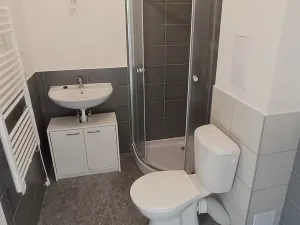 Pronájem bytu 1+1, Ostrava, Palackého, 36 m2