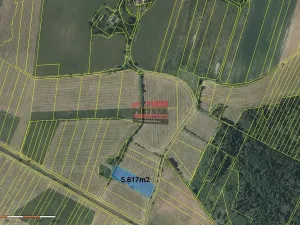 Prodej pole, Borkovice, 15132 m2