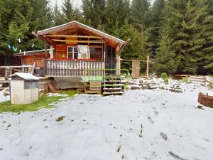 Prodej chaty, Nový Hrádek - Rzy, 43 m2