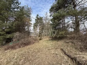 Prodej pozemku pro bydlení, Osová Bítýška, 315 m2