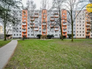 Prodej bytu 1+kk, Ostrava, Alžírská, 25 m2