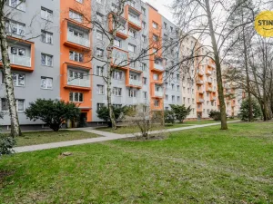 Prodej bytu 1+kk, Ostrava, Alžírská, 25 m2