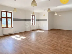 Pronájem obchodního prostoru, Opava - Předměstí, Kasárenská, 181 m2