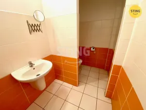 Pronájem obchodního prostoru, Opava - Předměstí, Kasárenská, 181 m2
