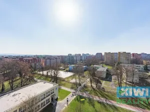 Pronájem bytu 2+1, Ostrava, Františka Hajdy, 50 m2