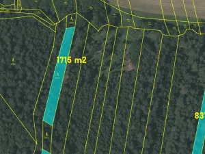 Prodej lesa, Srubec, Ledenická-Škarda, 18018 m2