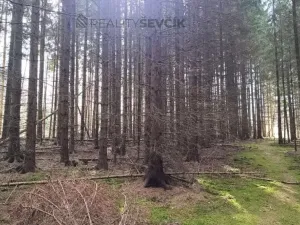 Prodej lesa, Srubec, Ledenická-Škarda, 18018 m2