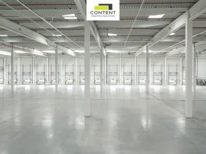 Pronájem výrobních prostor, Ostrava - Vítkovice, 10275 m2
