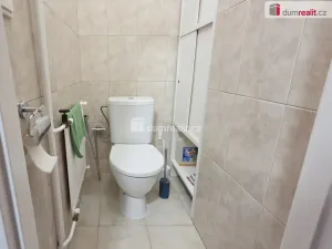 Pronájem bytu 4+kk, Roudnice nad Labem, Jiráskova, 155 m2