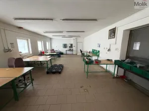 Pronájem skladu, Bílina - Chudeřice, Sadová, 1532 m2