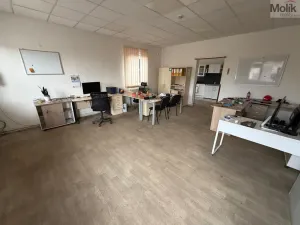 Pronájem skladu, Bílina - Chudeřice, Sadová, 1532 m2