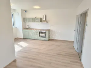 Pronájem bytu 2+kk, Přezletice, Pod Zahrady, 54 m2