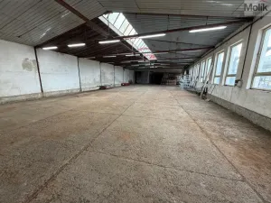 Pronájem výrobních prostor, Bílina - Chudeřice, Sadová, 1532 m2