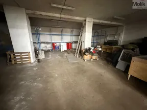 Pronájem výrobních prostor, Bílina - Chudeřice, Sadová, 1532 m2