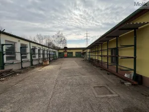 Pronájem obchodního prostoru, Bílina - Chudeřice, Sadová, 1532 m2