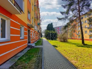 Pronájem bytu 2+1, Šternberk, Nádražní, 50 m2