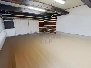 Prodej komerčního pozemku, Malá Úpa - Dolní Malá Úpa, 9164 m2