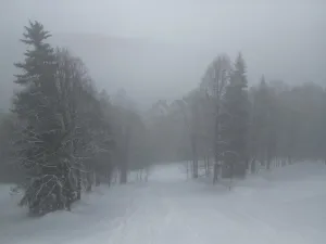 Prodej komerčního pozemku, Malá Úpa - Dolní Malá Úpa, 9164 m2