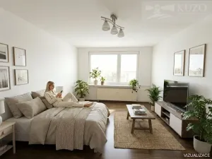 Pronájem bytu 1+kk, Příbram, Jana Drdy, 30 m2