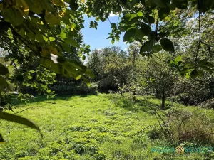Prodej zahrady, Přerov, 1527 m2