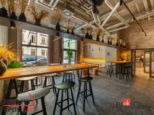 Pronájem garážového stání, Brno - Zábrdovice, Bratislavská, 19 m2