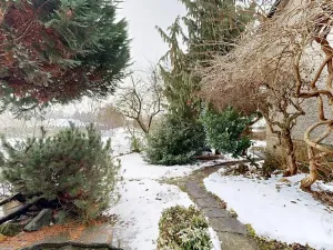 Prodej rodinného domu, Ronov nad Doubravou, Svatokřížská, 138 m2